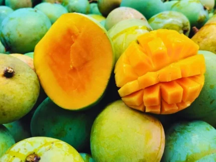 Himsagar/Khirsapat Mango (হিমসাগর/ক্ষীরসাপাত)- 20KG Crate (প্রি-অর্ডার চলছে! ডেলিভারি: ১ ১/১ ২ জুন)